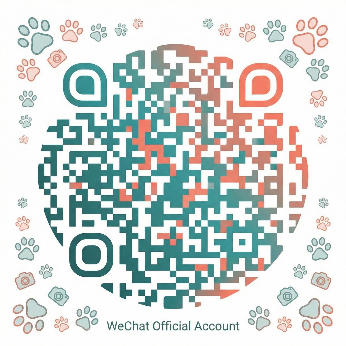 高清视频公众号二维码